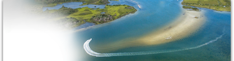 Fishing Charters on St. Simons Island, Jekyll Island, Cumberland Island.  Scenic Marshes of the Golden Isles